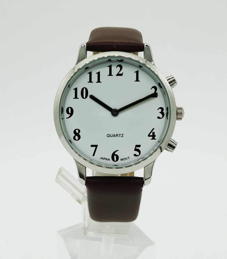 Casio Çelik Kordon Saat